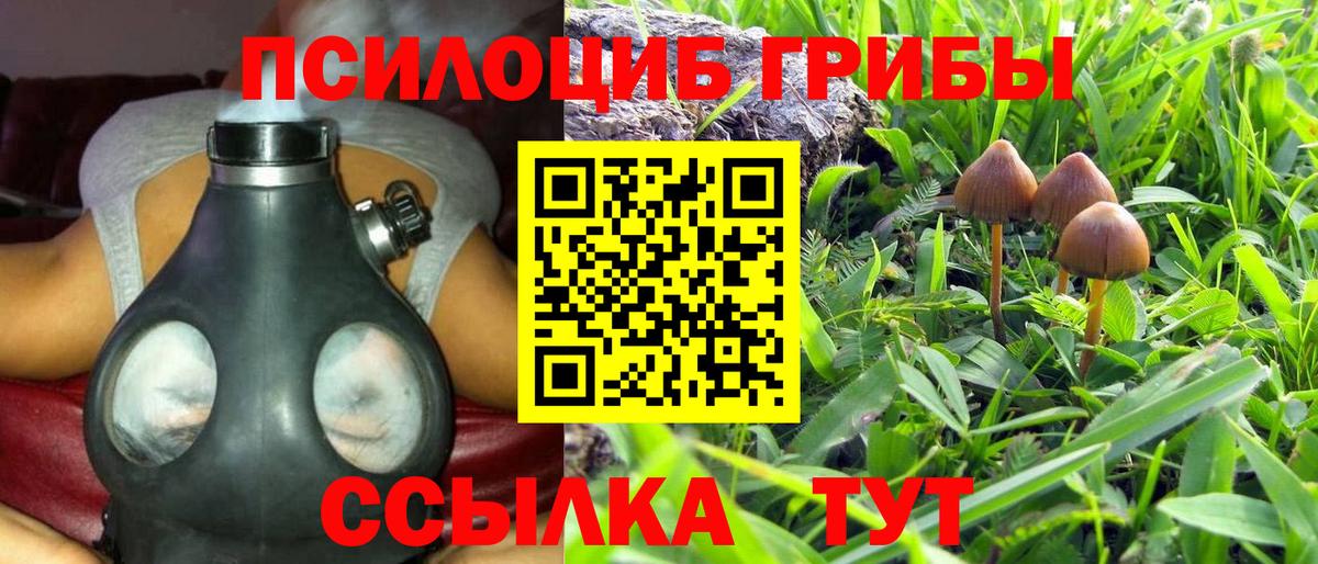 Псилоцибиновые грибы прущие грибы Сорочинск